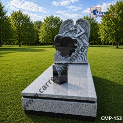 Campa 153